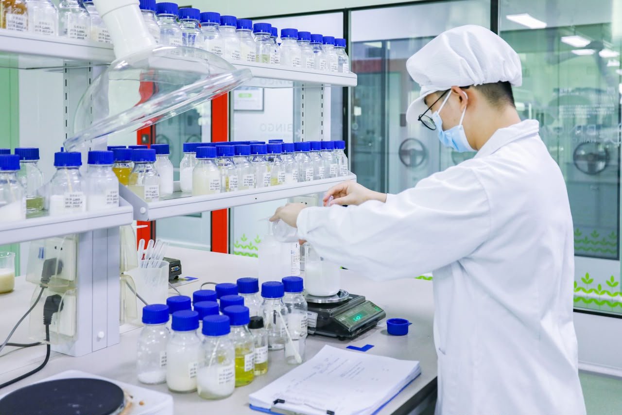 Rayzura laboratory work